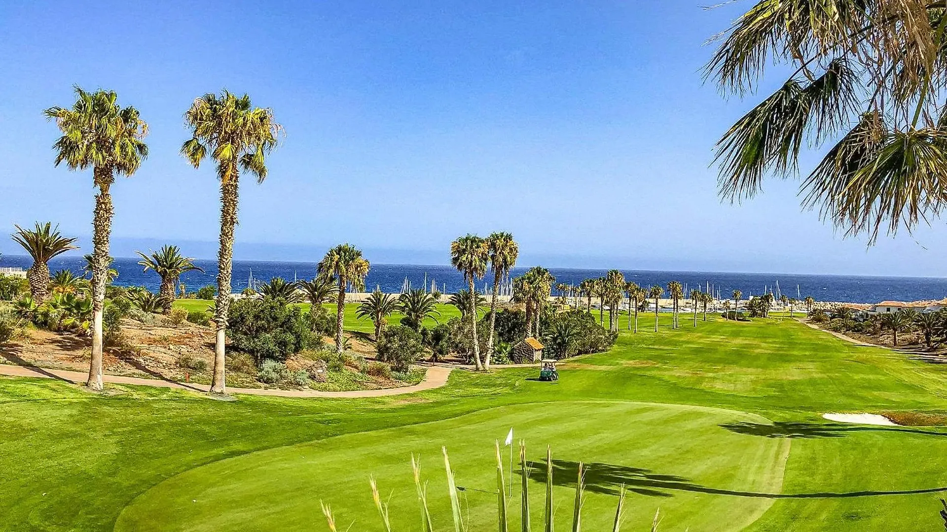 Pinehurst II 圣米格尔德阿沃纳 公寓
