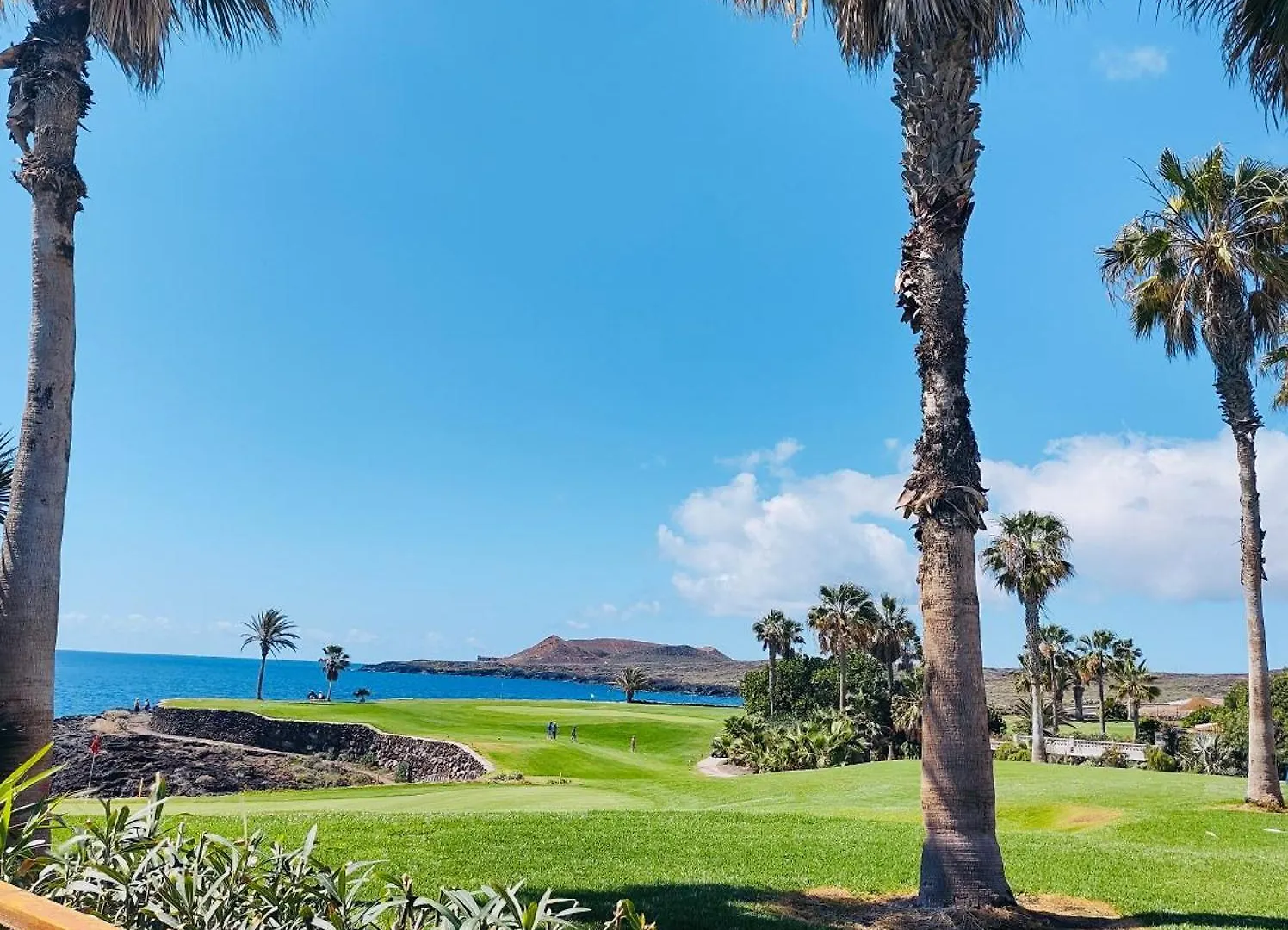 公寓 Pinehurst II 圣米格尔德阿沃纳 西班牙